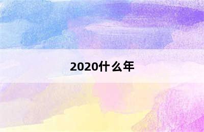 2020什么年