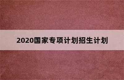 2020国家专项计划招生计划