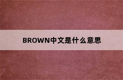 BROWN中文是什么意思