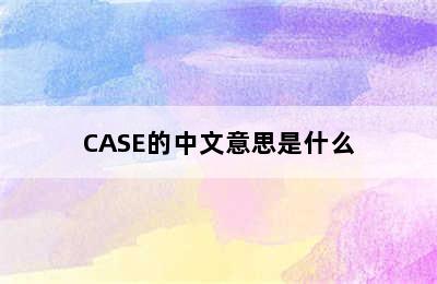 CASE的中文意思是什么