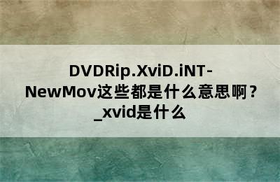 DVDRip.XviD.iNT-NewMov这些都是什么意思啊？_xvid是什么