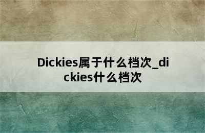 Dickies属于什么档次_dickies什么档次