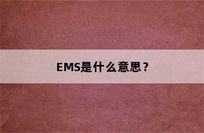 EMS是什么意思？