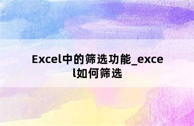 Excel中的筛选功能_excel如何筛选