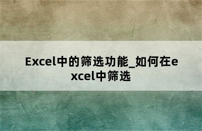 Excel中的筛选功能_如何在excel中筛选