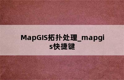 MapGIS拓扑处理_mapgis快捷键