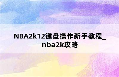 NBA2k12键盘操作新手教程_nba2k攻略