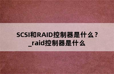 SCSI和RAID控制器是什么？_raid控制器是什么