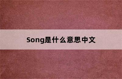 Song是什么意思中文
