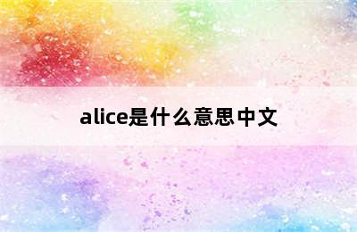 alice是什么意思中文