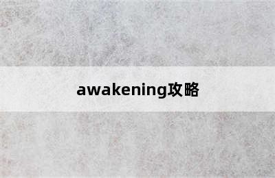 awakening攻略