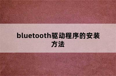 bluetooth驱动程序的安装方法