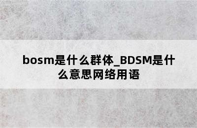bosm是什么群体_BDSM是什么意思网络用语