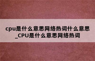 cpu是什么意思网络热词什么意思_CPU是什么意思网络热词