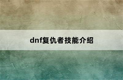 dnf复仇者技能介绍