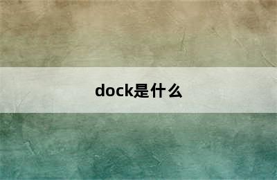 dock是什么