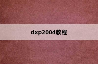 dxp2004教程