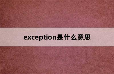 exception是什么意思