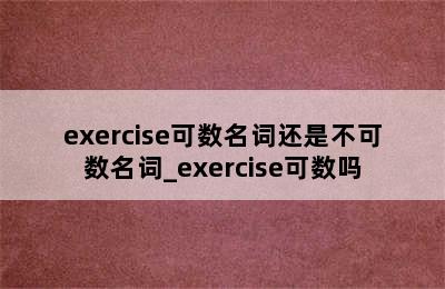 exercise可数名词还是不可数名词_exercise可数吗