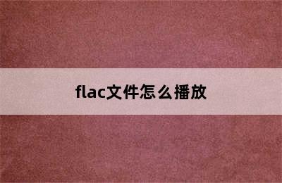 flac文件怎么播放