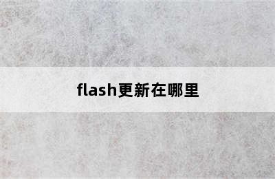 flash更新在哪里