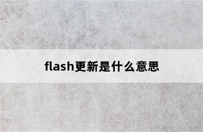 flash更新是什么意思