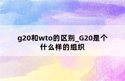 g20和wto的区别_G20是个什么样的组织