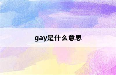 gay是什么意思