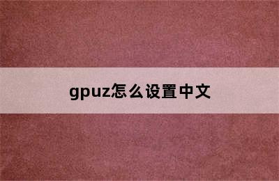 gpuz怎么设置中文