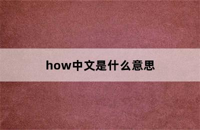 how中文是什么意思
