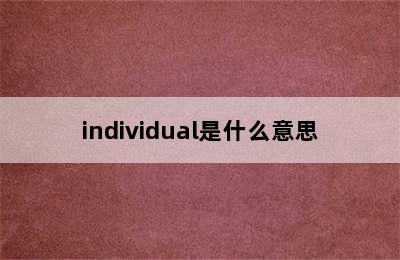 individual是什么意思
