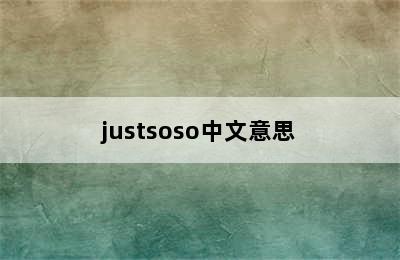 justsoso中文意思