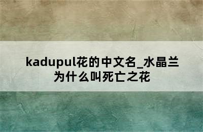 kadupul花的中文名_水晶兰为什么叫死亡之花