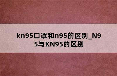 kn95口罩和n95的区别_N95与KN95的区别