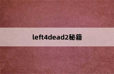 left4dead2秘籍