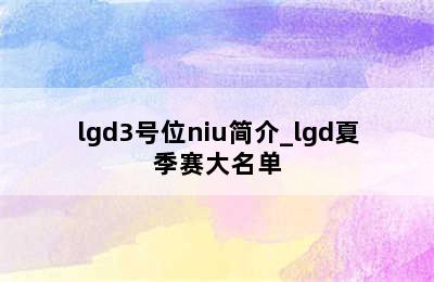 lgd3号位niu简介_lgd夏季赛大名单