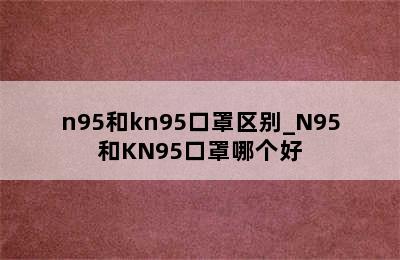 n95和kn95口罩区别_N95和KN95口罩哪个好