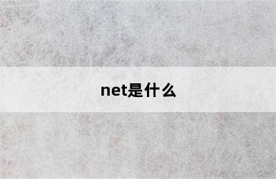 net是什么