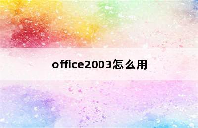 office2003怎么用