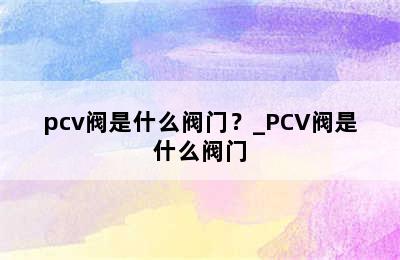 pcv阀是什么阀门？_PCV阀是什么阀门