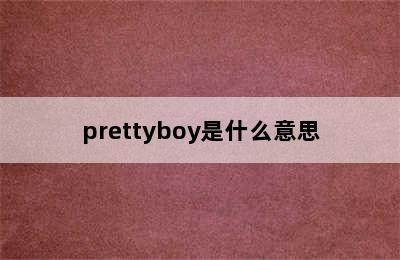 prettyboy是什么意思
