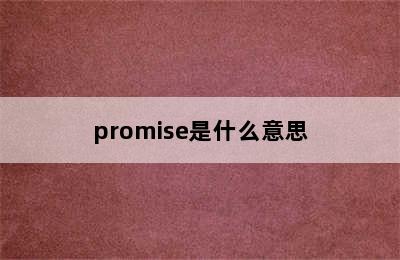 promise是什么意思