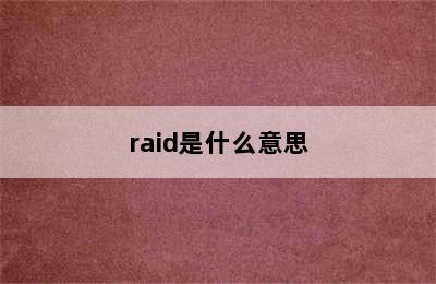 raid是什么意思