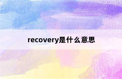 recovery是什么意思