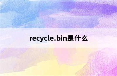 recycle.bin是什么