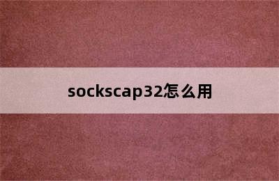 sockscap32怎么用