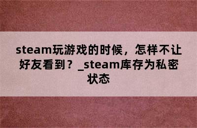steam玩游戏的时候，怎样不让好友看到？_steam库存为私密状态