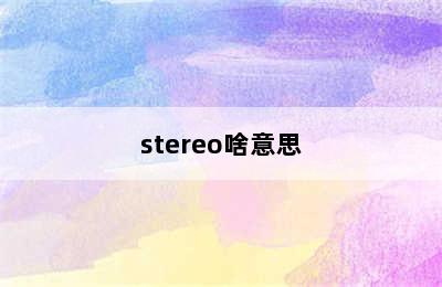 stereo啥意思