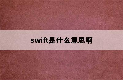 swift是什么意思啊