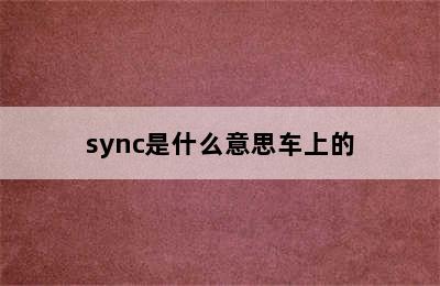 sync是什么意思车上的